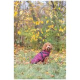 Trixie zimski kaput za pse Pirou 27 cm | Eponuda.com