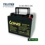 12V 45Ah WP45-12 LONG