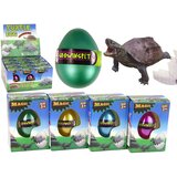  Rastoče jajce želvice v vodi - 6 cm (izberite barvo) | Shoptok.si