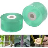 INF 2 pack plant grafting tape transparent pvc self-adhesive tape 5 cm, (21781214) | Shoptok.si