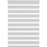vidaXL Zavjesa zebra 100x100 cm širina tkanine 95,9 cm poliester | shoptok.hr