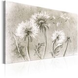  Slika - Dandelions (Pencil Artwork) 120x80 | shoptok.hr