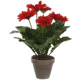 Edelmann Umjetna biljka Gerbera (Visina: 35 cm, Crvene boje, Plastika) Cijene