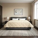  Poletna odeja krema 240 x 260 cm Mikrofibra in Teddy flis, (5000284656) | Shoptok.si