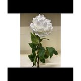  PEONIJA 72CM BIJELA EDG | Eponuda.ba