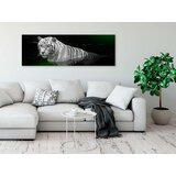  Slika - Shining Tiger (1 Part) Green Narrow 150x50 | shoptok.hr