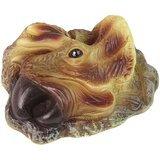  Triceratops Dinosaur Excavation Educational Kit | shoptok.hr