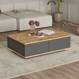 Hanah home FR14-AA atlantic pineanthracite coffee table