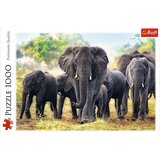 Trefl Puzzle - African elephants - 1.000 delova | Eponuda.com