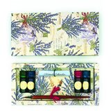 Kartos Set za kaligrafijo Lavanda – | Shoptok.si