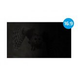 OWL Filter za privatnost 14" Screen, 16:9, 309,9 x 174,5 mm | ePonuda.com