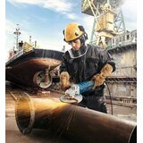 Bosch GWS 30-180 B Professional Ugaona brusilica 06018G0000 | Eponuda.com