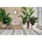 Kayoom SET STOLOV, les, umetna masa krem barve, bela | Shoptok.si