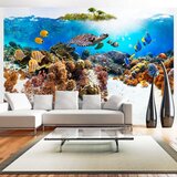  Tapeta - Cay 150x105 Cijene
