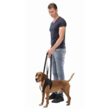 Pojas za pomoć pri kretanju psa walking aid do 25 kg