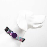 Paws &amp; Whiskers Bubles Multicolor Dog Collar | Eponuda.com