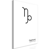  Slika - Capricorn (1 Part) Vertical 80x120 Cijene
