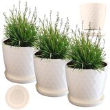 KADAX cvetlični lonec, sadilnik, pokrov, 30 cm, stojalo za rože, kremna plastika, 3 kosi., (5000346579) | Shoptok.si