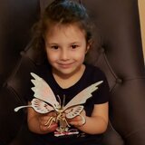  3d drvena slagalica - Leptirov ples | ePonuda.com