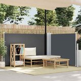  Uvlačiva bočna tenda 100 x 600 cm antracit | shoptok.hr