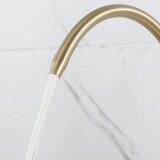 Rea Kuhinjska slavina Eco Fresh BRUSH GOLD | shoptok.hr