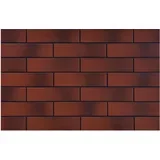 ROT CLInker FACADE SHADED 245x65x6,5 0,50