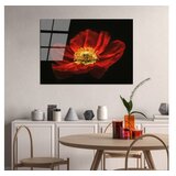 WALLXPERT dekorativna slika od kaljenog stakla cvetan cvet crvenog maka (uv 204) 70 x 100cm | ePonuda.com