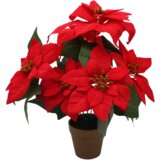 Molarem Home Umjetna crvena Božićna zvijezda u zlatnoj tegli - 38 cm Slike