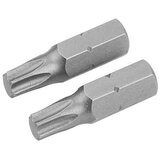 Tolsen set bitova T40 2-delni (20227) | ePonuda.com