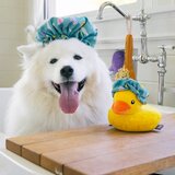 Play Poklon set Splish Splash 5 kom – | shoptok.hr
