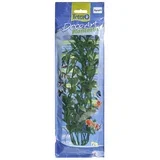 biljka za akvarijum hygrophila 23cm