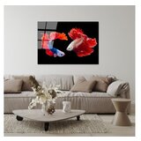 WALLXPERT dekorativna slika od kaljenog stakla fishes (uv 167) 70 x 100 cm | ePonuda.com