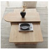 Hanah home Set stočića za kafu Paris Bronze Sapphire Hrast | Eponuda.com