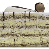 Torta Ivanjica nugat - parče torte cene