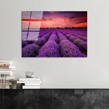 Wallity slika UV-301, 50 x 70 cm Cene
