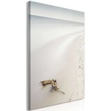  Slika - Coast (1 Part) Vertical 60x90 | shoptok.hr