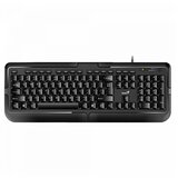  Tastatura USB Genius KB-118 GK-190008 US Crna | ePonuda.com