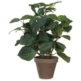  Umjetna biljka (Visina: 35 cm, Zelene boje, Plastika)