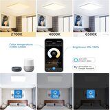 EREGOU pametna LED stropna svetilka 24W 2400lm, WiFi | Shoptok.si