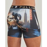 Pullin Spodnje hlače FASHION 2 Večbarvna | Shoptok.si