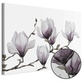  Slika - Painted Magnolias (1 Part) Wide 60x40 | shoptok.hr