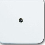 Busch-Jaeger osrednji disk aws VDo 2536-214, (20891776) Cene