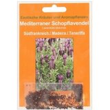 TROPICA Mediteranska francoska sivka Cene