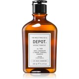 Depot No. 102 Anti-Dandruff & Sebum Control Shampoo šampon za obnovo ravnovesja mastnega lasišča 250 ml Cene