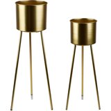 Mondex Swen Komplet 2 ohišij H77,5X22,5 cm, H65,5X19,5 cm, (21244596) | Shoptok.si
