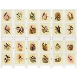  Romdivider Panel Bijelo 212 x 165 cm MDF | shoptok.hr