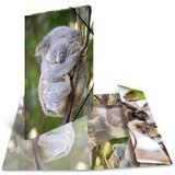Herma Mapa z elastiko A3 PP, Glossy Koala Cene