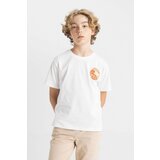 Defacto boy's Crew Neck Printed Short Sleeve T-Shirt Cene