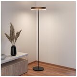 Eglo 390452 - led prigušiva podna lampa trabuco 2xLED/19W/230V 2200-6500K braon | Eponuda.com