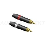 ProCab Konektor RCA Činč PCR2M/BG Muški (Par) Cijene